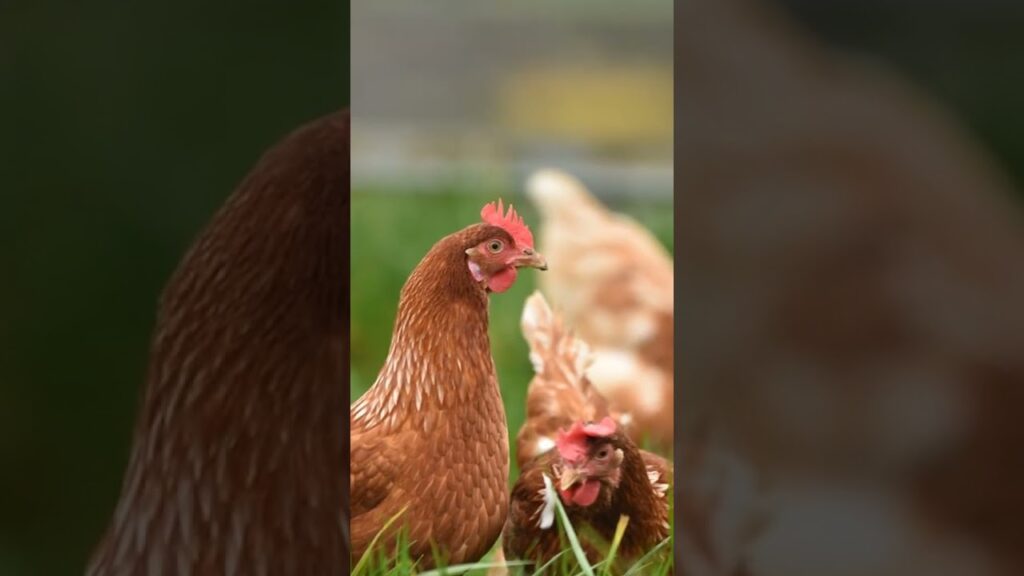 Cómo sacar provecho de negocios para la nueva economía digital antes que otros